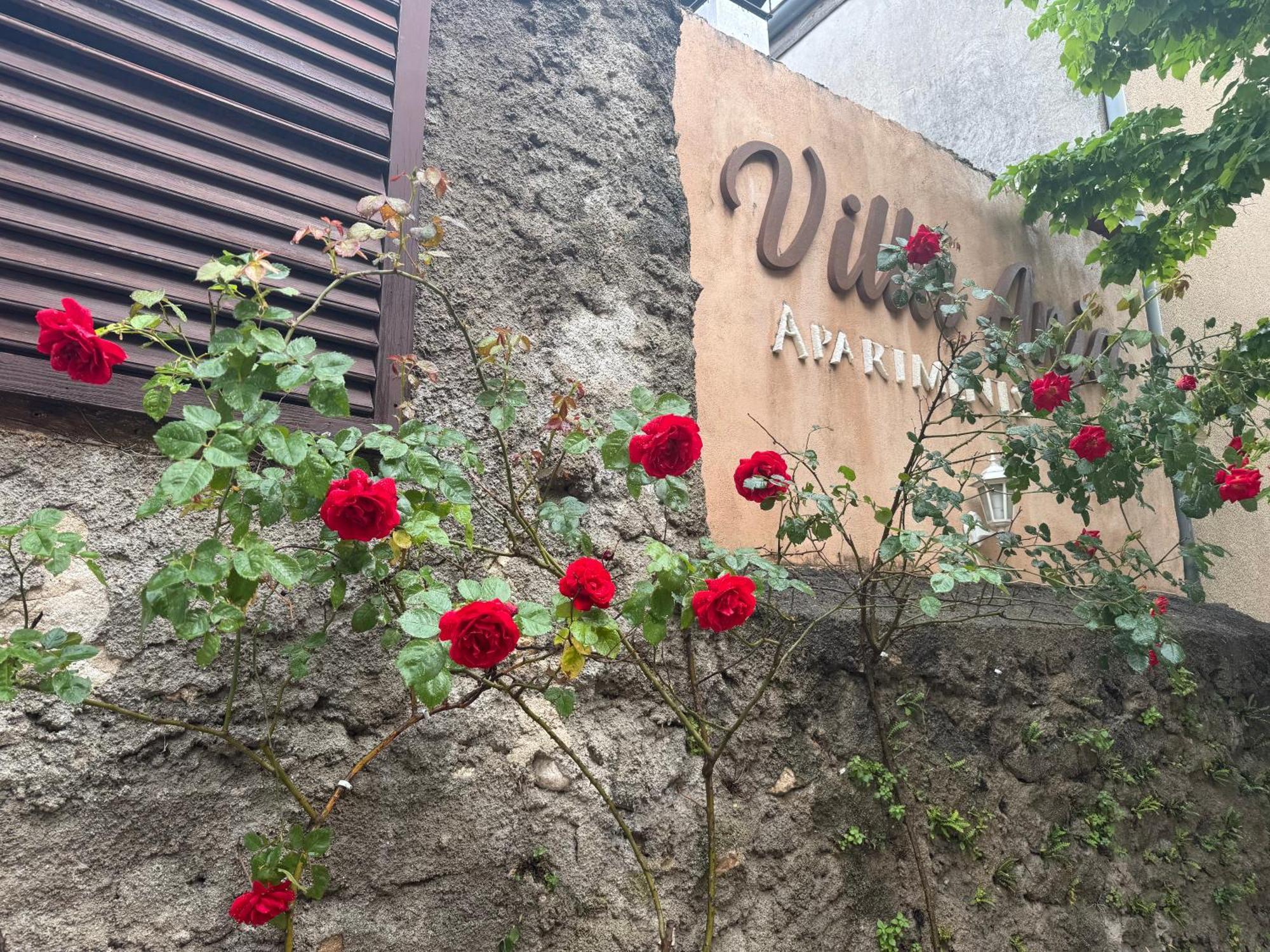 Villa Anja Apartments Мостар Экстерьер фото